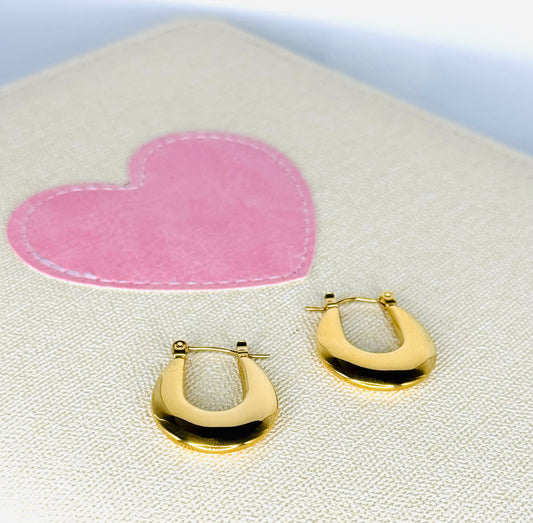 Gioia Earrings -  Stainless Steel